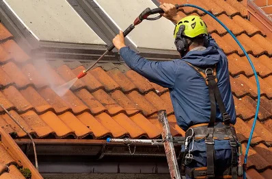 Démoussage et hydrofuge de toiture à Lembach
